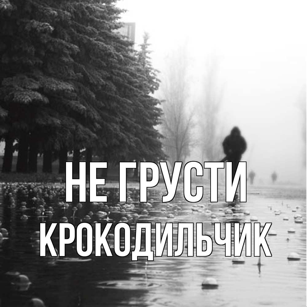 Открытка на каждый день с именем, Крокодильчик Не грусти улица под дождем Прикольная открытка с пожеланием онлайн скачать бесплатно 