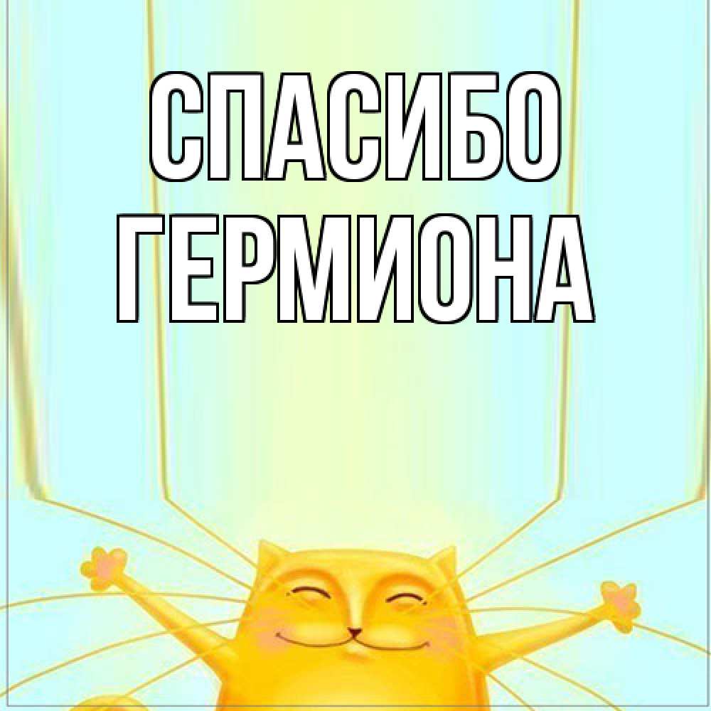 Открытка на каждый день с именем, Гермиона Спасибо кот с усами благодарит Прикольная открытка с пожеланием онлайн скачать бесплатно 