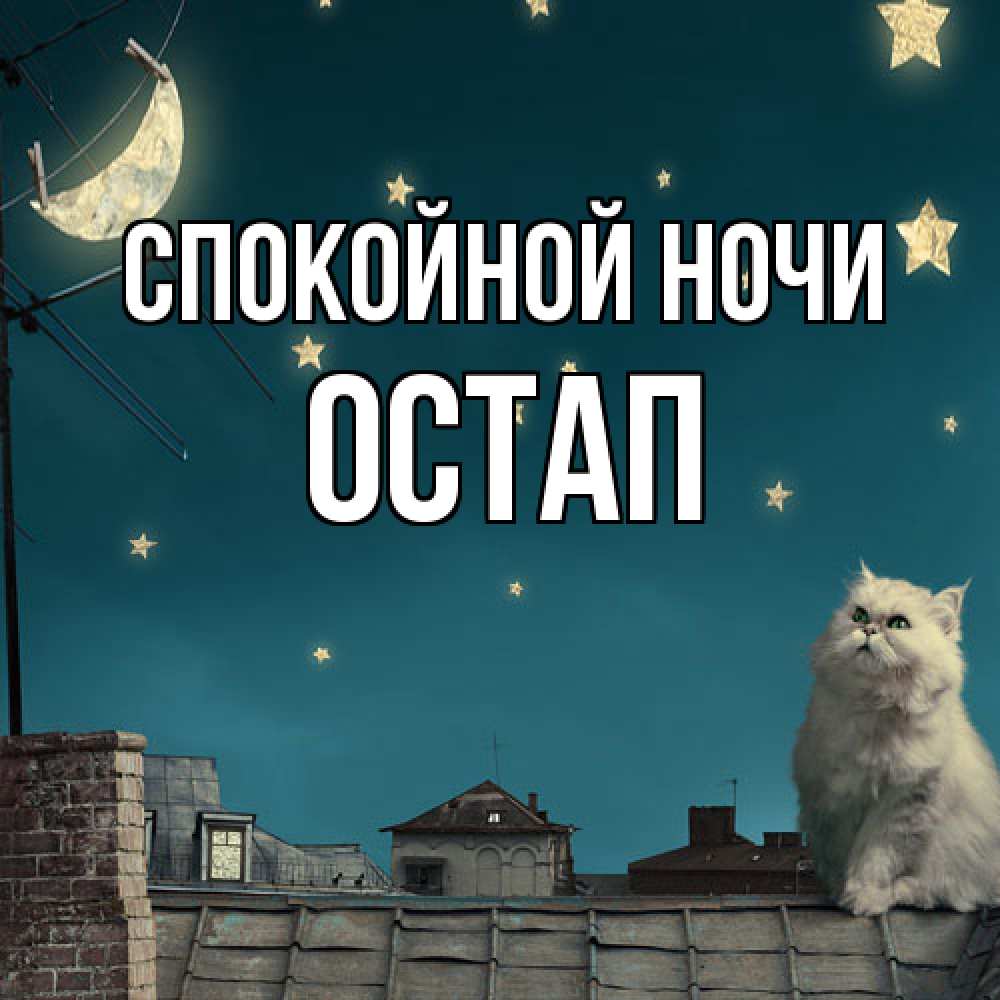 Открытка на каждый день с именем, Остап Спокойной ночи белый кот сидит на крыше Прикольная открытка с пожеланием онлайн скачать бесплатно 