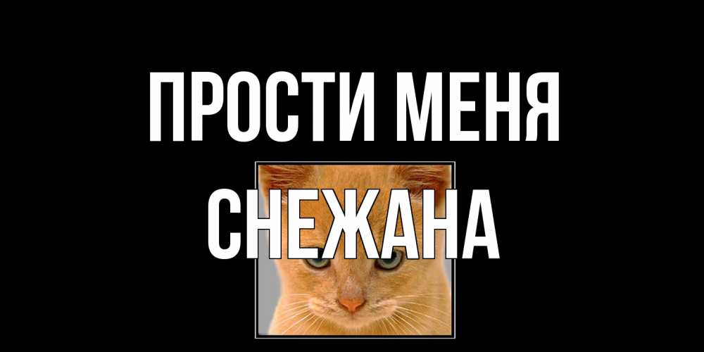 Открытка на каждый день с именем, Снежана Прости меня рыжий грустный кот просит прощения Прикольная открытка с пожеланием онлайн скачать бесплатно 