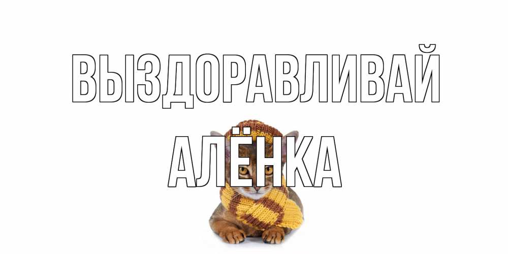Открытка на каждый день с именем, Алёнка Выздоравливай родные не болейте Прикольная открытка с пожеланием онлайн скачать бесплатно 