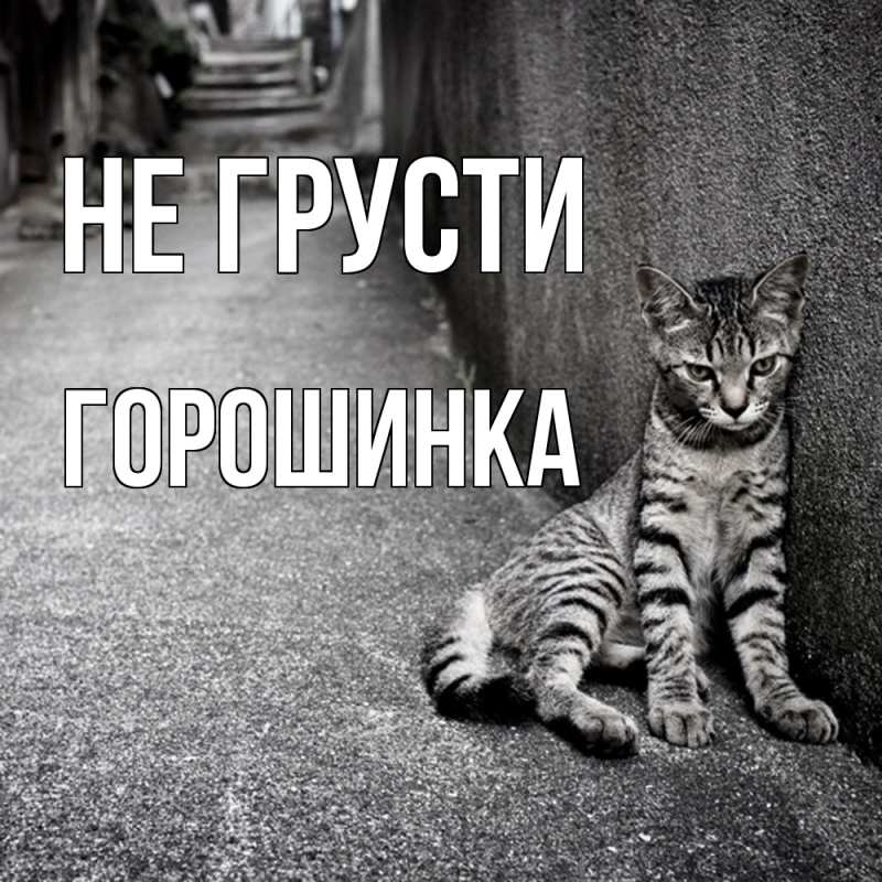 Картинка Не грусти, горошинка