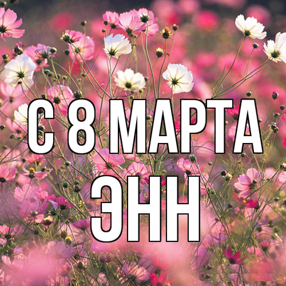 Открытка на каждый день с именем, Энн C 8 МАРТА красиво 1 Прикольная открытка с пожеланием онлайн скачать бесплатно 