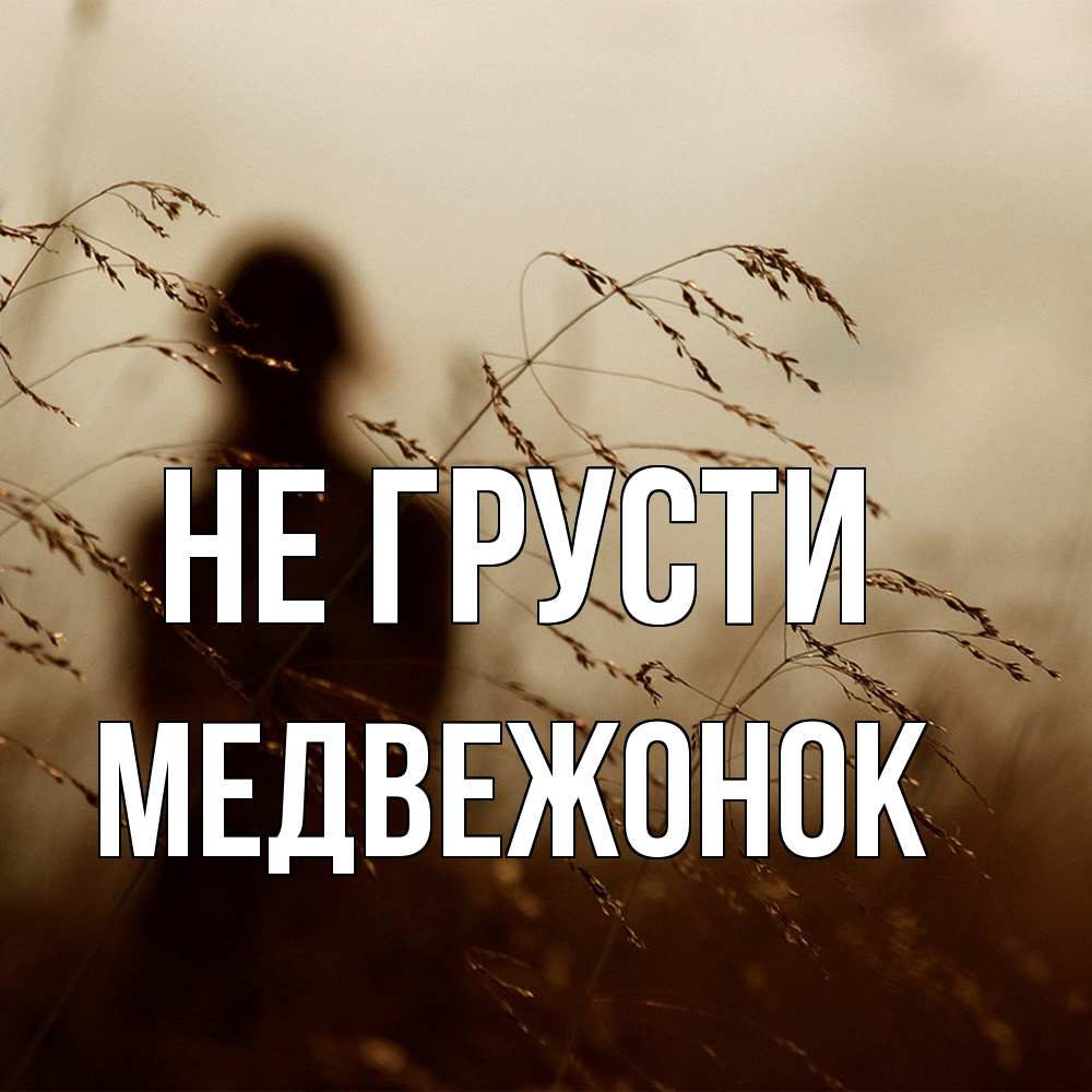 Открытка на каждый день с именем, медвежонок Не грусти грусть Прикольная открытка с пожеланием онлайн скачать бесплатно 