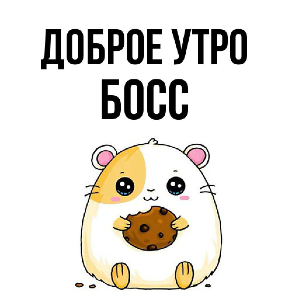 Открытка на каждый день с именем, Босс Доброе утро есть печеньку. Утречко Прикольная открытка с пожеланием онлайн скачать бесплатно 