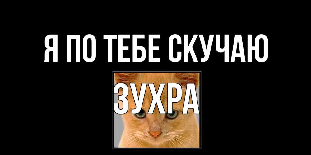 Открытка на каждый день с именем, Зухра Я по тебе скучаю открытки рыжий котенок скучает по тебе Прикольная открытка с пожеланием онлайн скачать бесплатно 