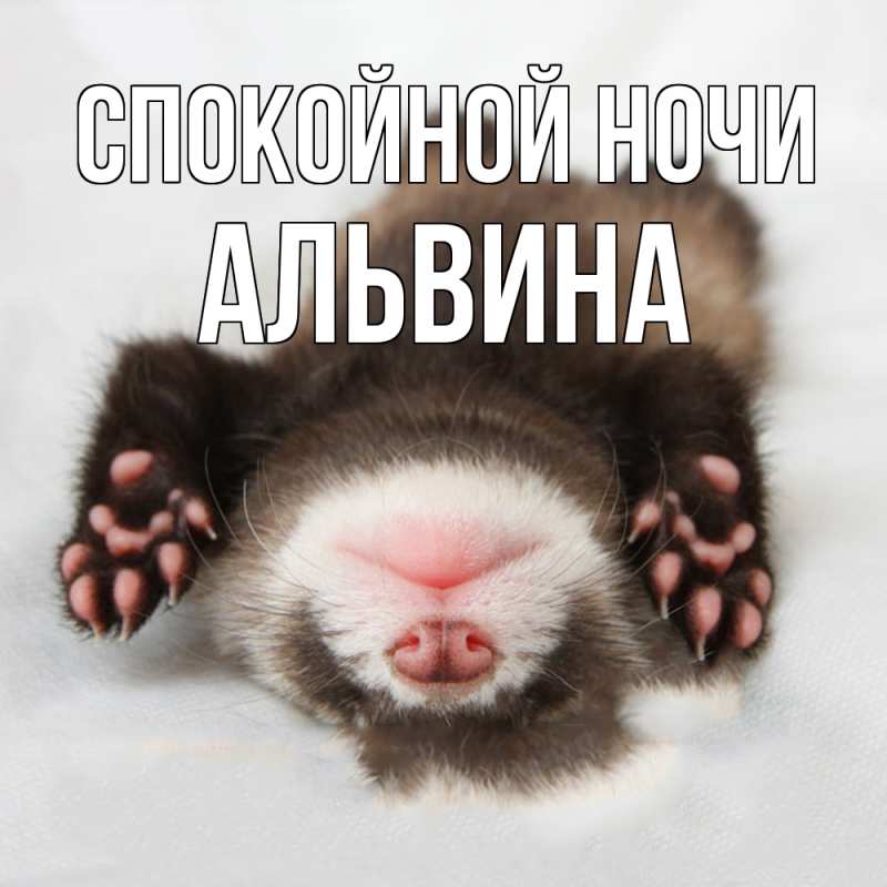 Открытка с именем, Альвина, Спокойной ночи