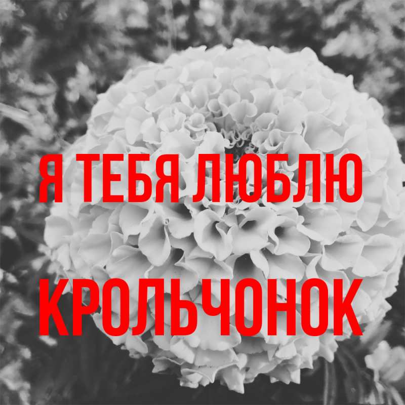 Картинка Я тебя люблю, Крольчонок