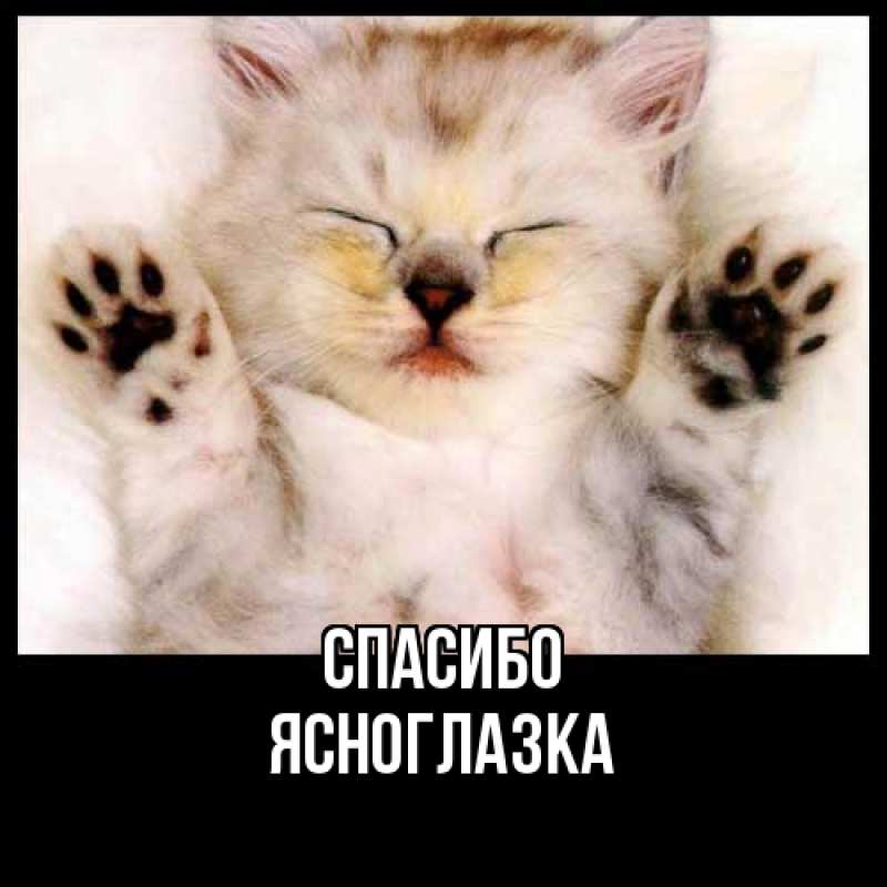 Картинка Спасибо, ясноглазка