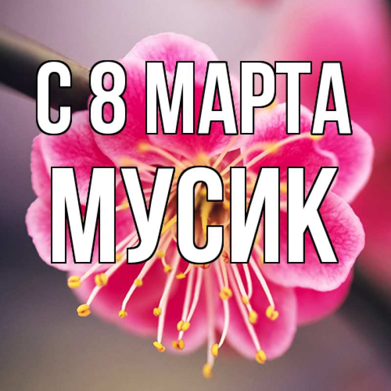 Картинка C 8 МАРТА, мусик