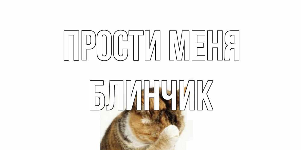 Открытка на каждый день с именем, Блинчик Прости меня кот Прикольная открытка с пожеланием онлайн скачать бесплатно 