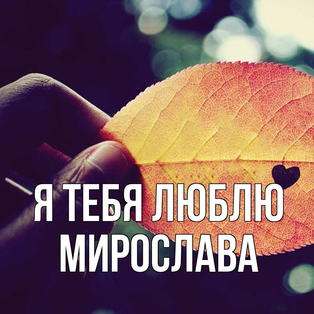 Открытка на каждый день с именем, Мирослава Я тебя люблю держу лист Прикольная открытка с пожеланием онлайн скачать бесплатно 