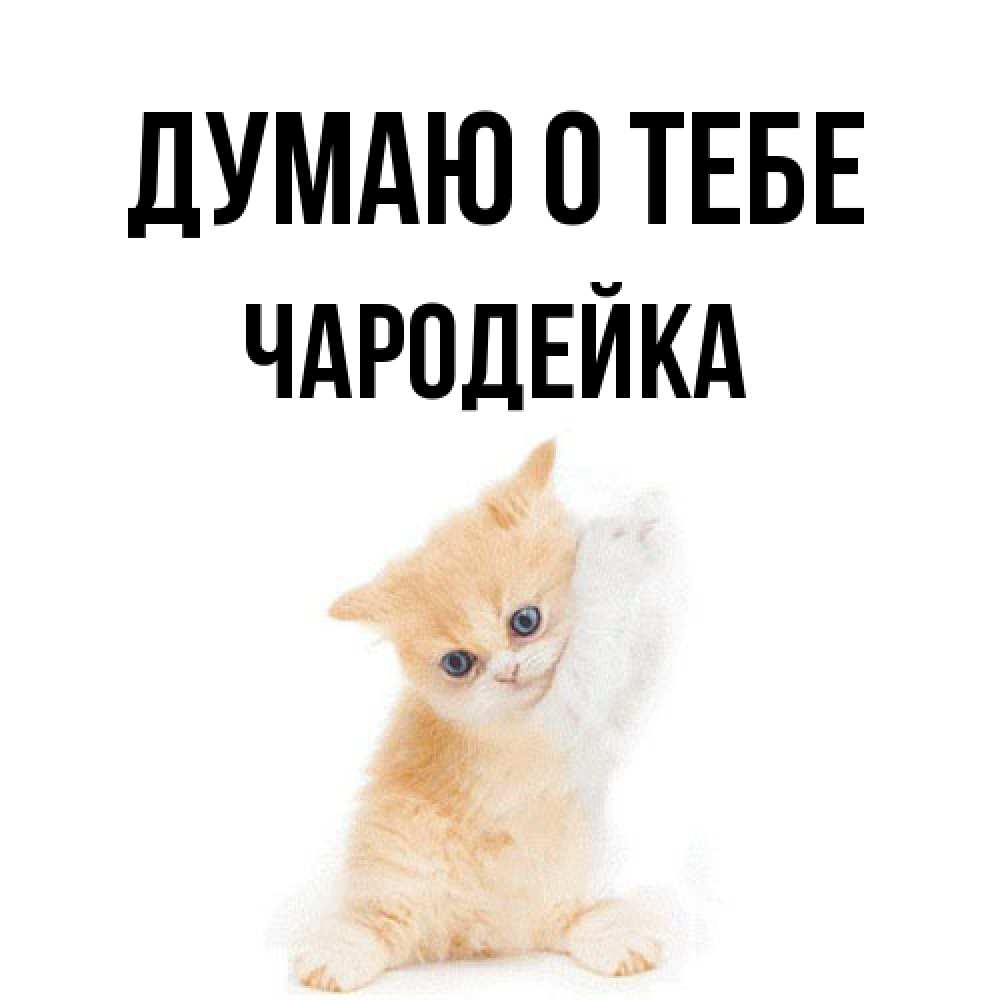 Открытка на каждый день с именем, Чаpодейка Думаю о тебе зверушки и милота Прикольная открытка с пожеланием онлайн скачать бесплатно 