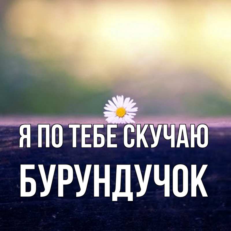 Картинка Я по тебе скучаю, бурундучок