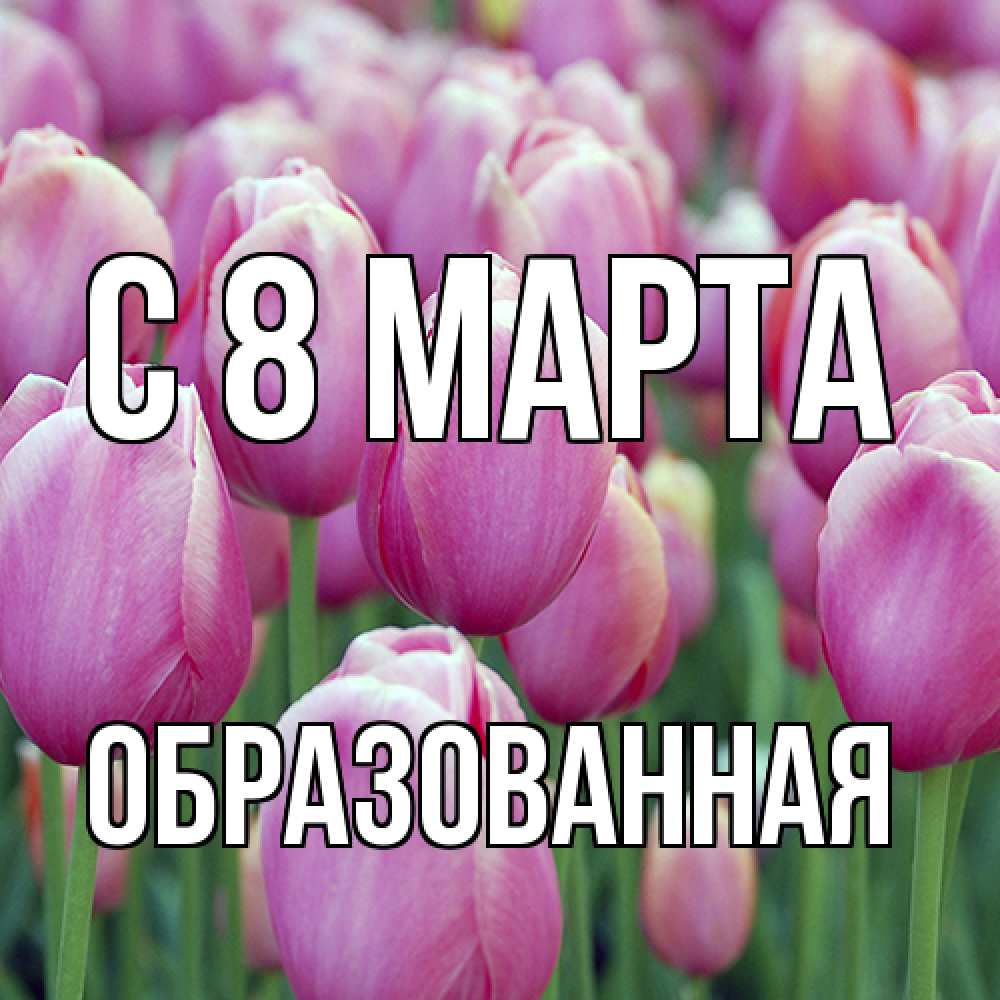 Открытка на каждый день с именем, Образованная C 8 МАРТА на международный женский день 3 Прикольная открытка с пожеланием онлайн скачать бесплатно 