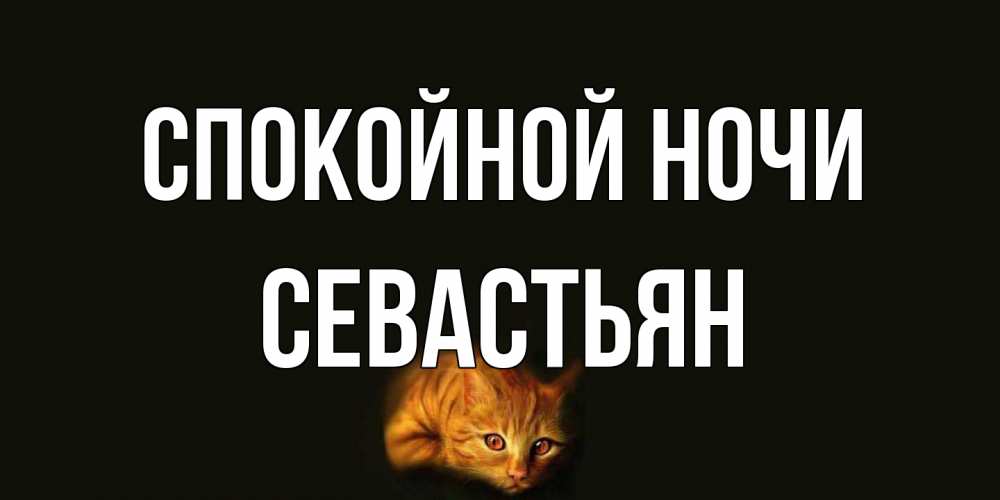 Открытка на каждый день с именем, Севастьян Спокойной ночи кот Прикольная открытка с пожеланием онлайн скачать бесплатно 