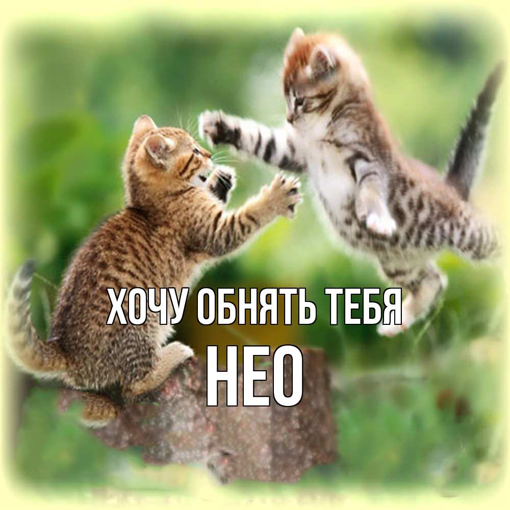 Открытка на каждый день с именем, Нео Хочу обнять тебя игры котят Прикольная открытка с пожеланием онлайн скачать бесплатно 