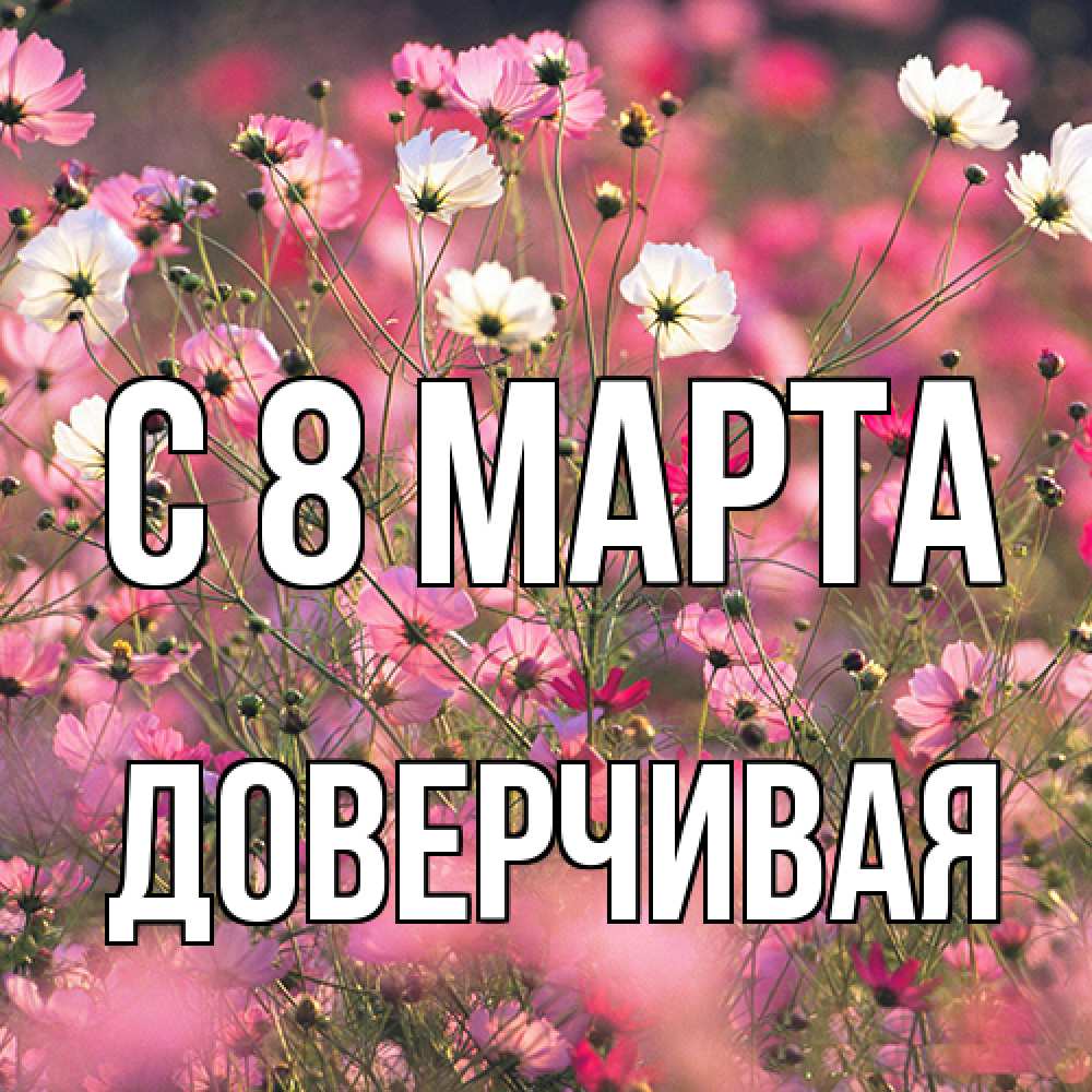 Открытка на каждый день с именем, Доверчивая C 8 МАРТА красиво 1 Прикольная открытка с пожеланием онлайн скачать бесплатно 