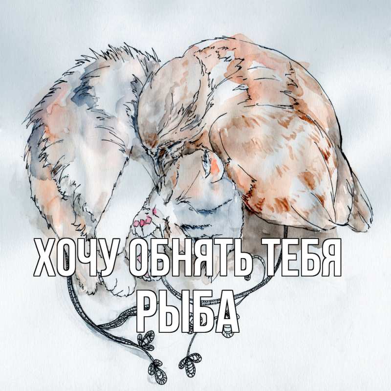 Картинка Хочу обнять тебя, Рыба