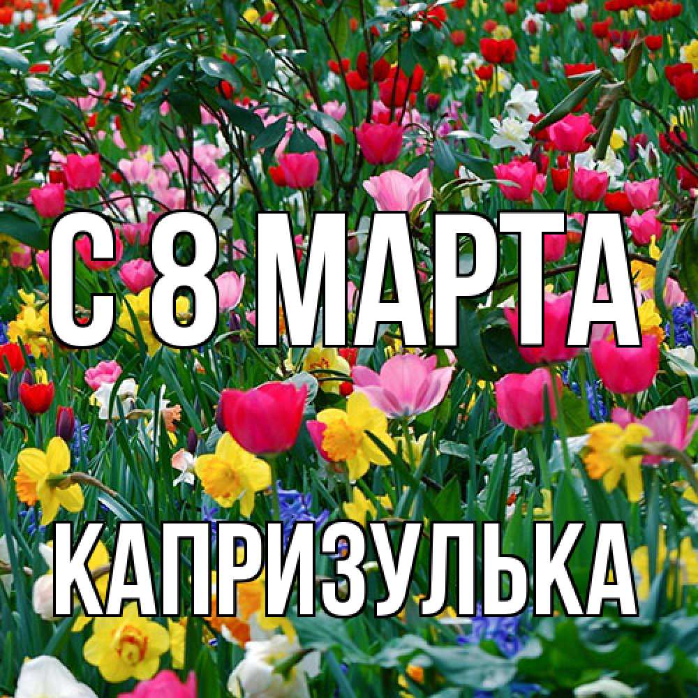 Открытка на каждый день с именем, капризулька C 8 МАРТА с международным женским днем поздравления для женщины Прикольная открытка с пожеланием онлайн скачать бесплатно 