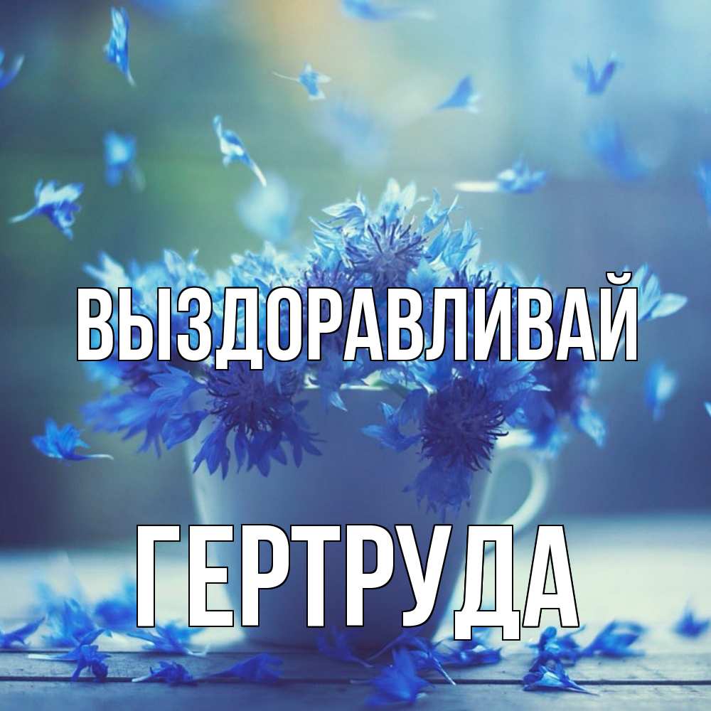 Открытка на каждый день с именем, Гертруда Выздоравливай кружка с зельем и цветами Прикольная открытка с пожеланием онлайн скачать бесплатно 