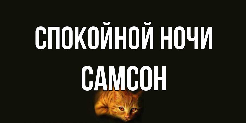 Открытка на каждый день с именем, Самсон Спокойной ночи кот Прикольная открытка с пожеланием онлайн скачать бесплатно 