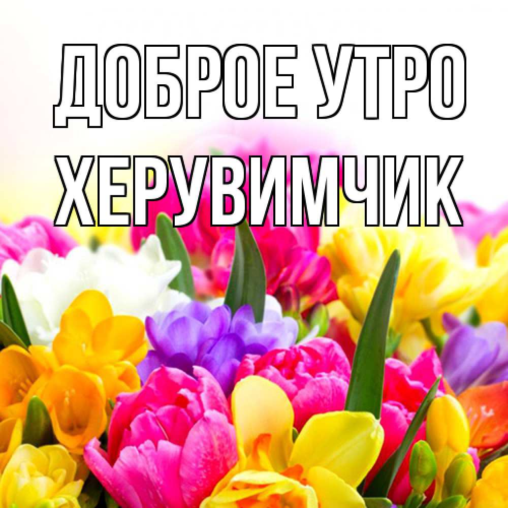 Открытка на каждый день с именем, Хеpувимчик Доброе утро создать открытку со свое подписью Прикольная открытка с пожеланием онлайн скачать бесплатно 