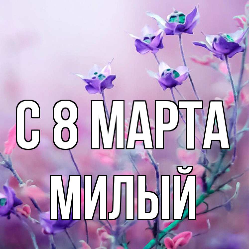 Открытка на каждый день с именем, Милый C 8 МАРТА международный женский день 2 Прикольная открытка с пожеланием онлайн скачать бесплатно 