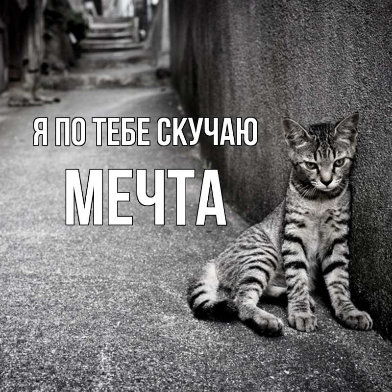 Картинка Я по тебе скучаю, мечта