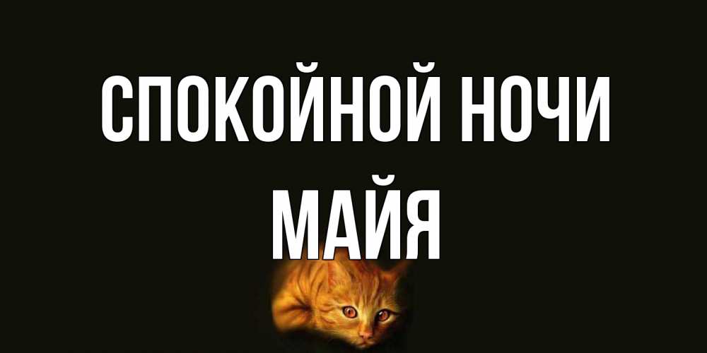 Открытка на каждый день с именем, Майя Спокойной ночи кот Прикольная открытка с пожеланием онлайн скачать бесплатно 