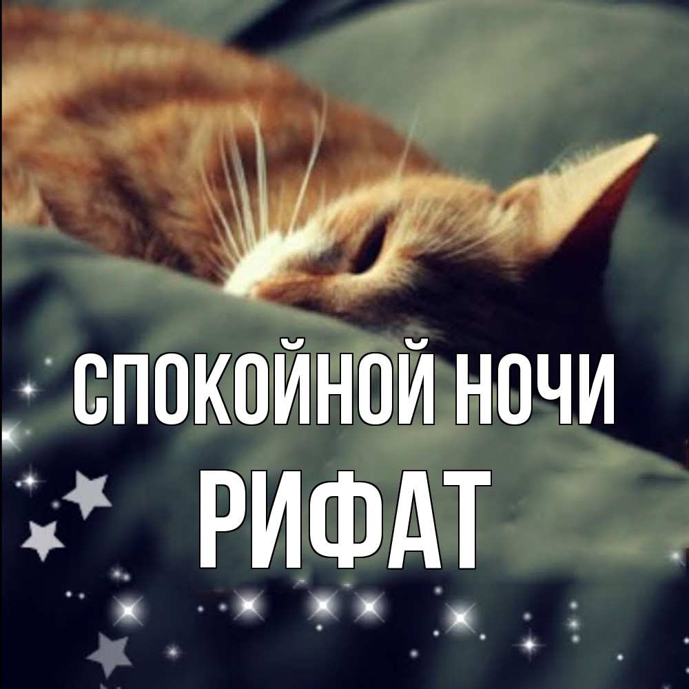 Открытка на каждый день с именем, Рифат Спокойной ночи кроватка Прикольная открытка с пожеланием онлайн скачать бесплатно 