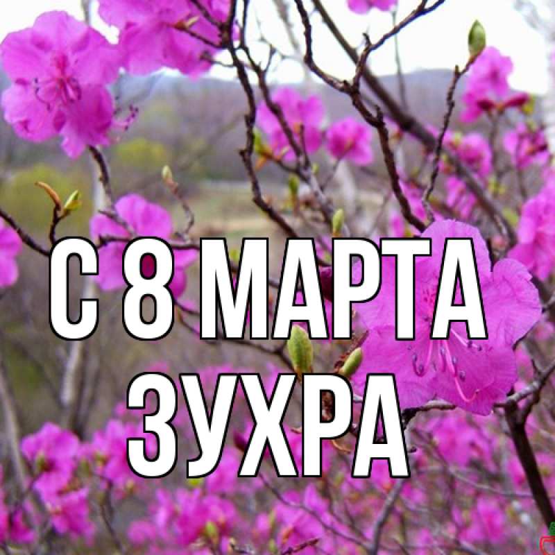 Картинка C 8 МАРТА, Зухра