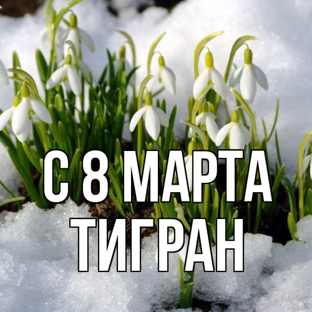 Открытка на каждый день с именем, Тигран C 8 МАРТА цветы весенние Прикольная открытка с пожеланием онлайн скачать бесплатно 