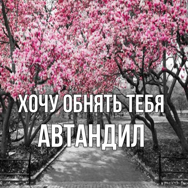 Картинка Хочу обнять тебя, Автандил