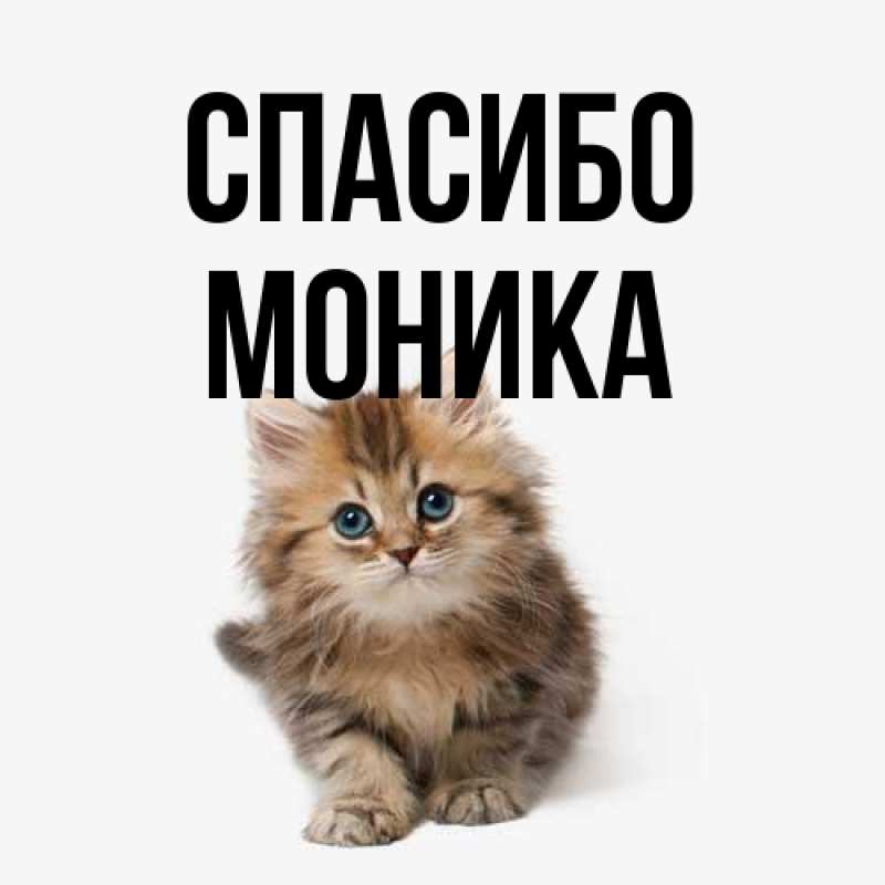 Открытка с именем, Моника, Спасибо