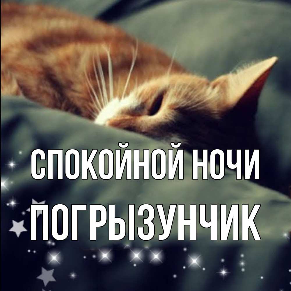 Открытка на каждый день с именем, Погрызунчик Спокойной ночи кроватка Прикольная открытка с пожеланием онлайн скачать бесплатно 