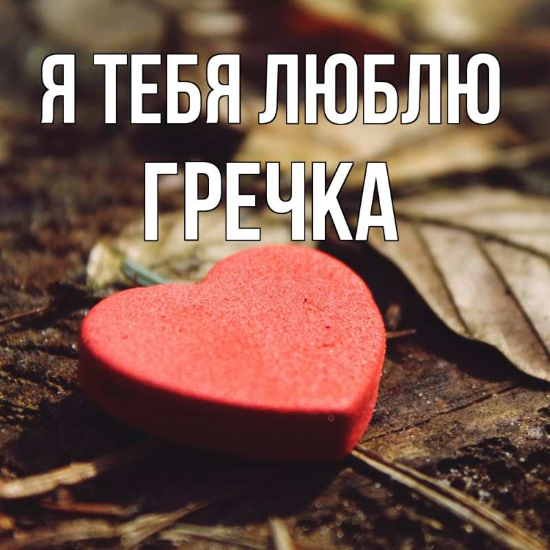 Картинка Я тебя люблю, Гречка