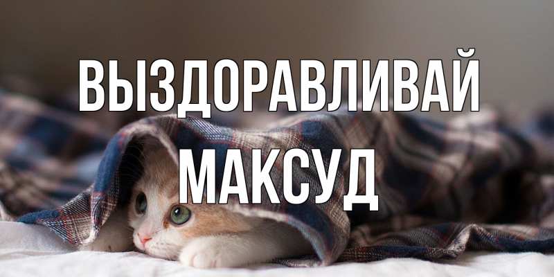 Открытка с именем, Максуд, Выздоравливай