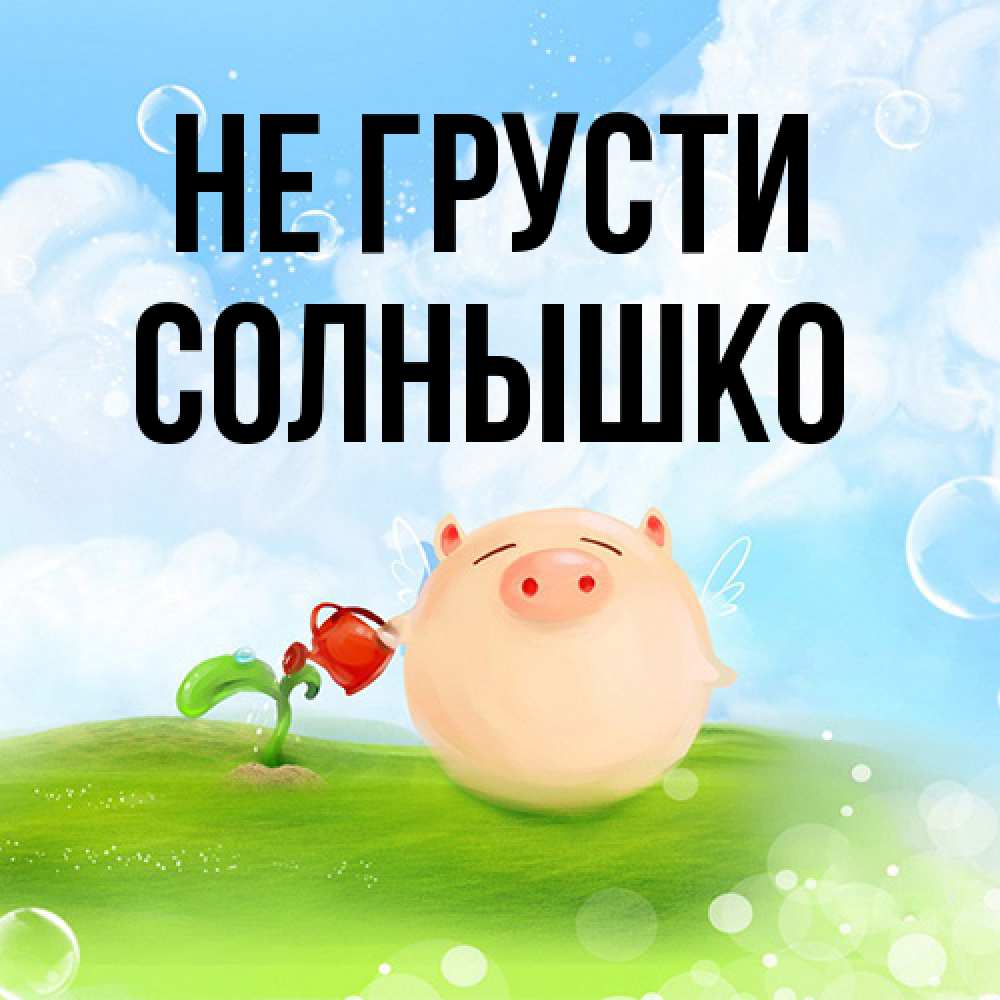Открытка на каждый день с именем, Солнышко Не грусти поливает цветок порося Прикольная открытка с пожеланием онлайн скачать бесплатно 