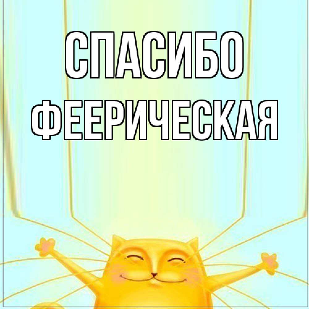 Открытка на каждый день с именем, Фееpическая Спасибо кот с усами благодарит Прикольная открытка с пожеланием онлайн скачать бесплатно 