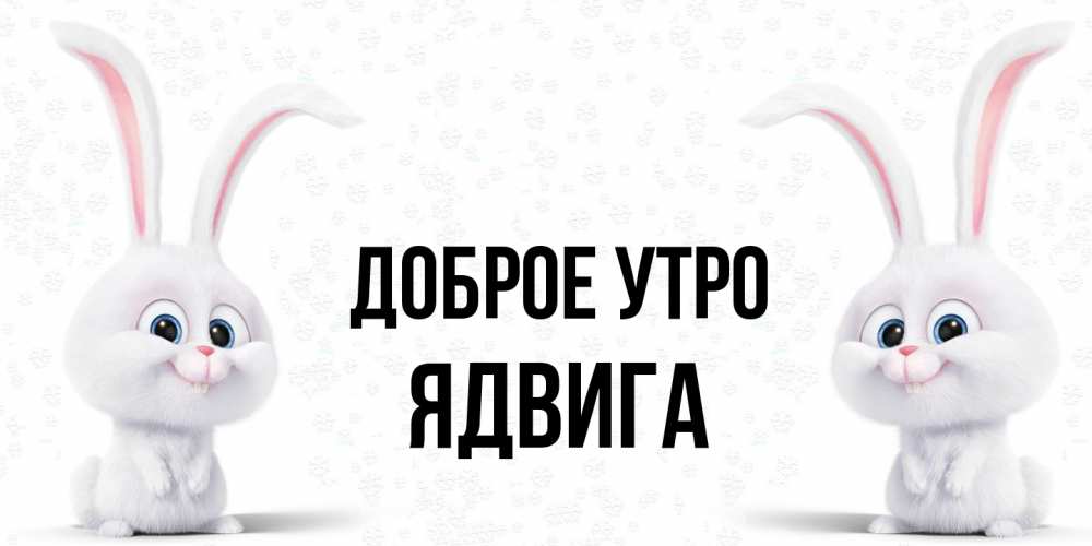 Открытка на каждый день с именем, Ядвига Доброе утро кролики с длинными ушками Прикольная открытка с пожеланием онлайн скачать бесплатно 