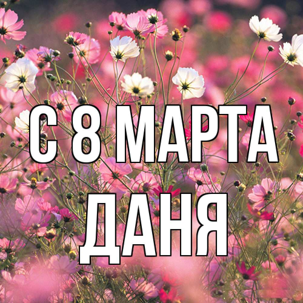 Открытка на каждый день с именем, Даня C 8 МАРТА красиво 1 Прикольная открытка с пожеланием онлайн скачать бесплатно 