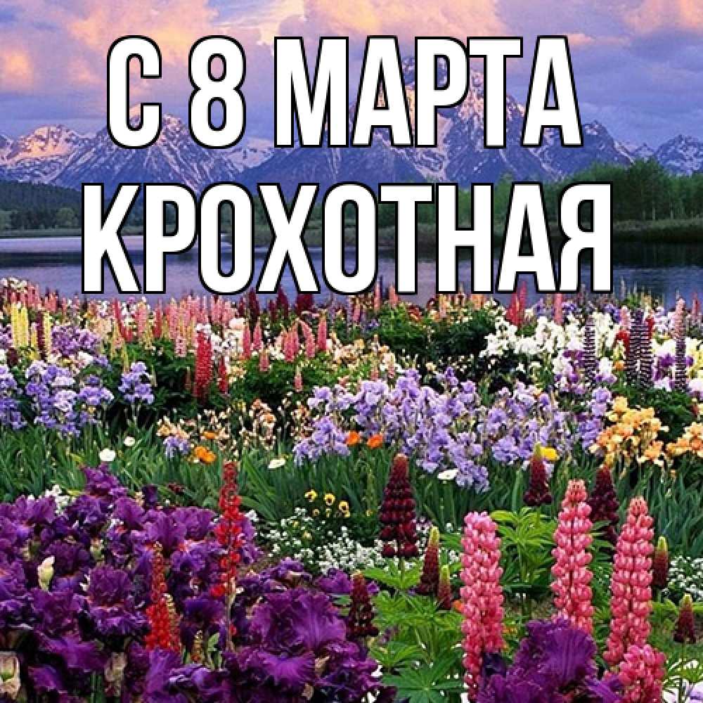 Открытка на каждый день с именем, Крохотная C 8 МАРТА международный женский день Прикольная открытка с пожеланием онлайн скачать бесплатно 