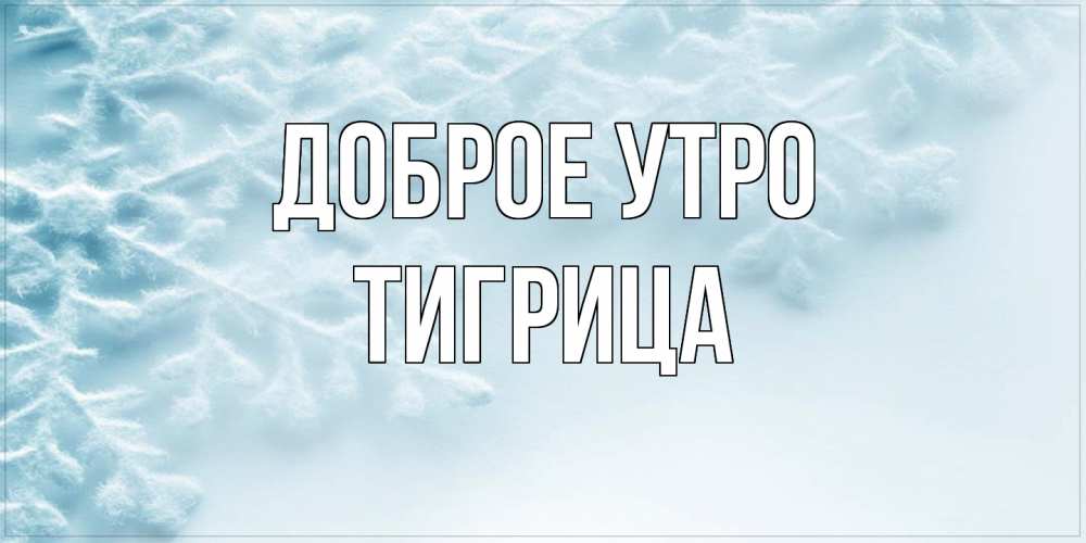 Открытка на каждый день с именем, Тигрица Доброе утро классное зимнее утро Прикольная открытка с пожеланием онлайн скачать бесплатно 