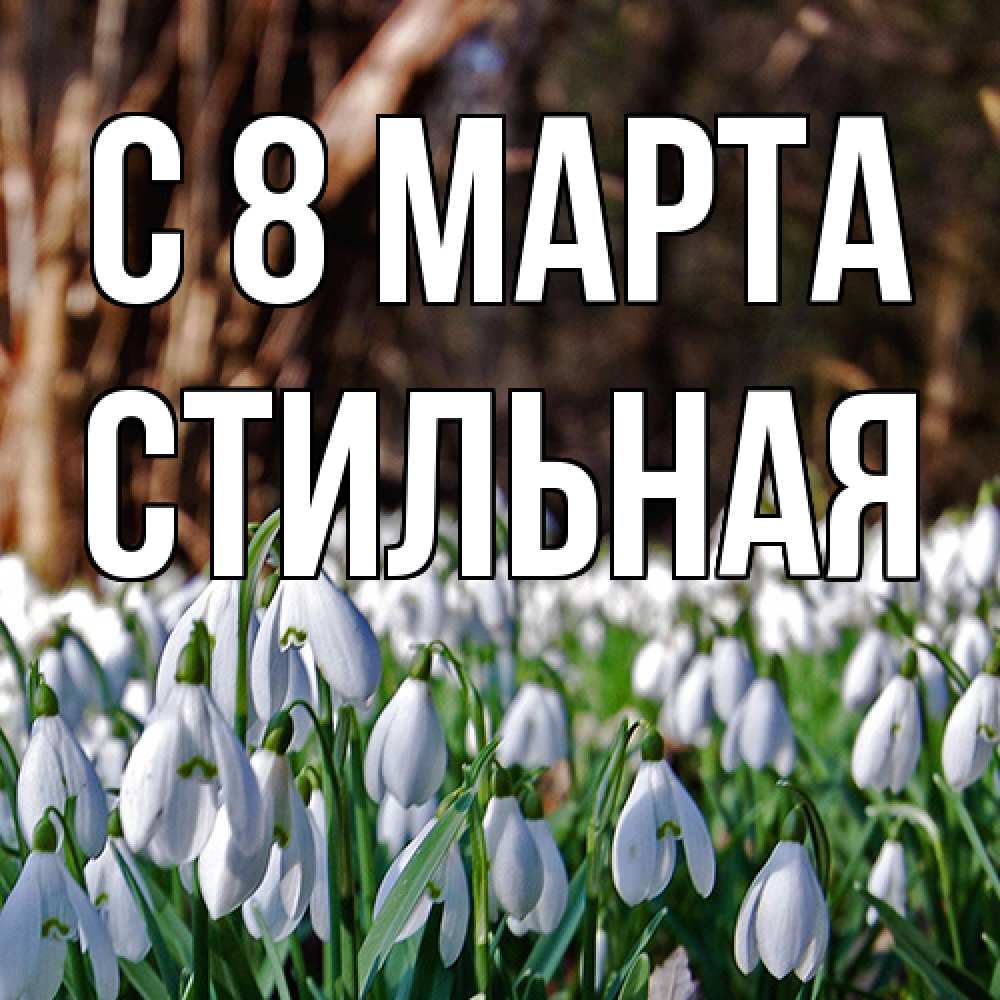 Открытка на каждый день с именем, Стильная C 8 МАРТА с подснежниками 1 Прикольная открытка с пожеланием онлайн скачать бесплатно 