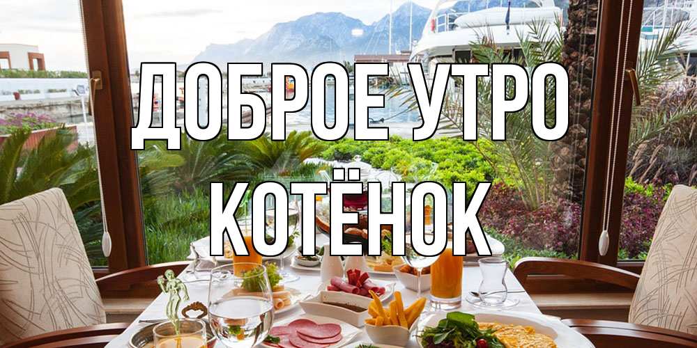 Открытка на каждый день с именем, Котёнок Доброе утро тропическое утро Прикольная открытка с пожеланием онлайн скачать бесплатно 