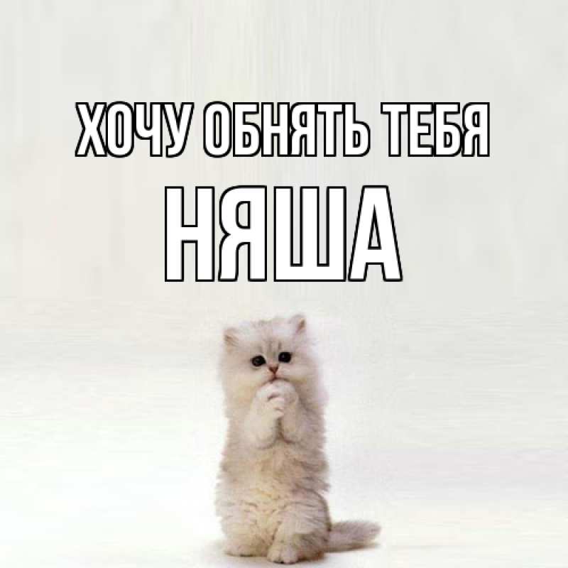 Картинка Хочу обнять тебя, няша