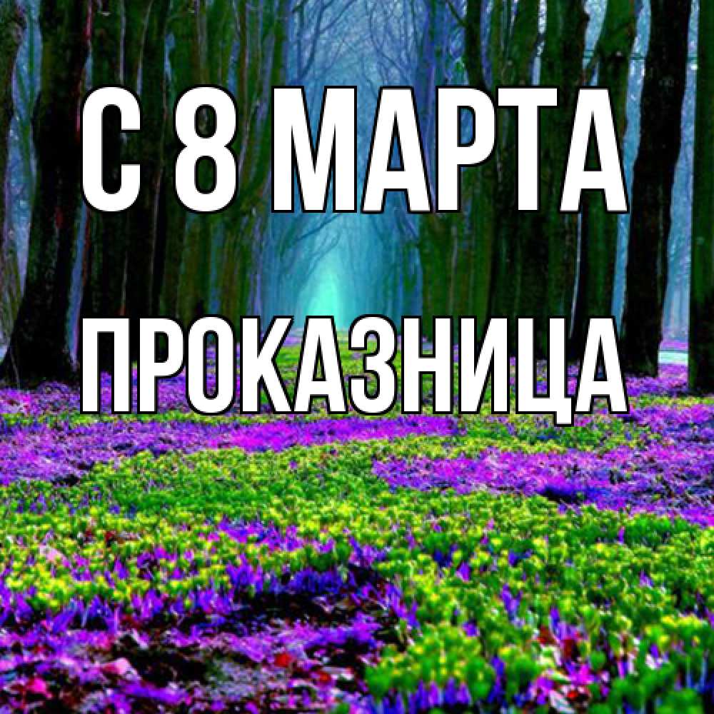 Открытка на каждый день с именем, Проказница C 8 МАРТА фиолетовые цветы в лесу 1 Прикольная открытка с пожеланием онлайн скачать бесплатно 