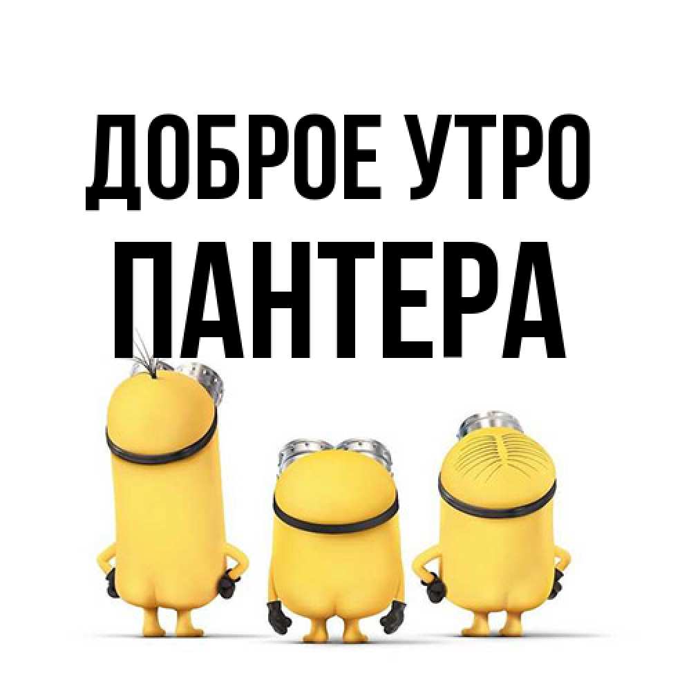 Открытка на каждый день с именем, Пантера Доброе утро подписать открытку онлайн бесплатно Прикольная открытка с пожеланием онлайн скачать бесплатно 