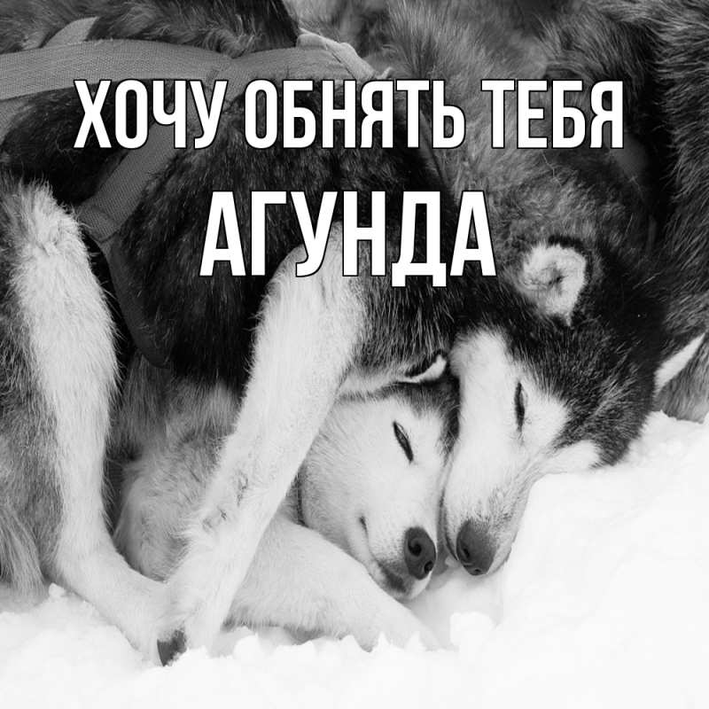 Картинка Хочу обнять тебя, Агунда